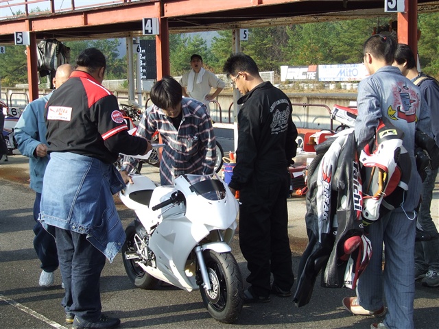 This picture is for quick loading of picture.