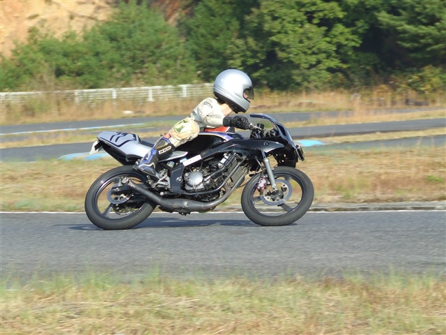 This picture is for quick loading of picture.