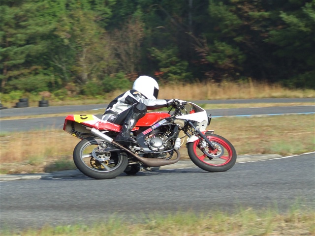 This picture is for quick loading of picture.