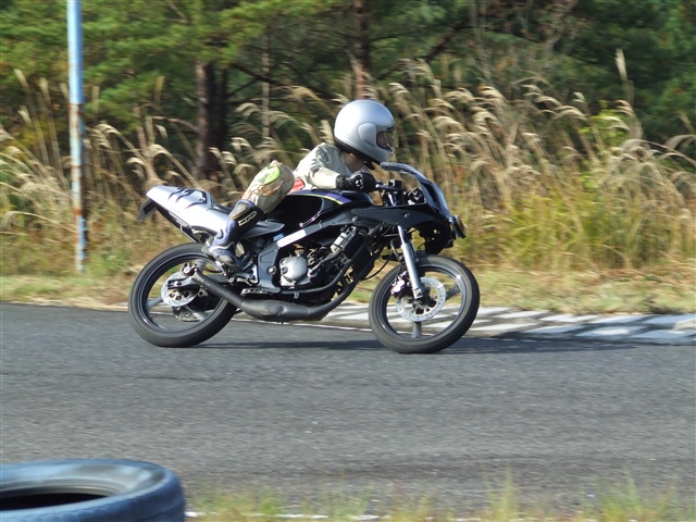 This picture is for quick loading of picture.