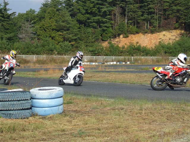 This picture is for quick loading of picture.