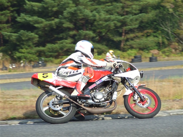 This picture is for quick loading of picture.