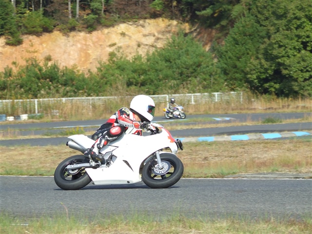 This picture is for quick loading of picture.