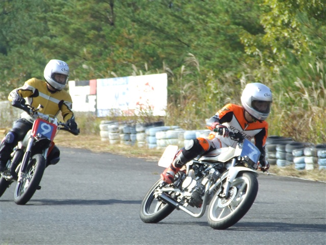 This picture is for quick loading of picture.