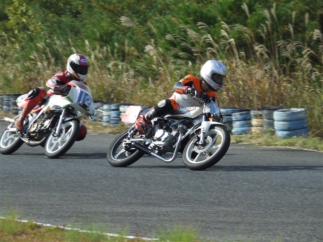 This picture is for quick loading of picture.