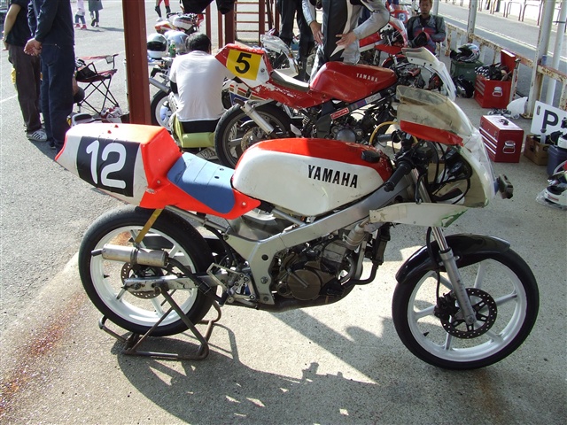 This picture is for quick loading of picture.