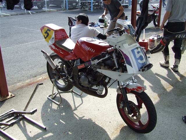 This picture is for quick loading of picture.