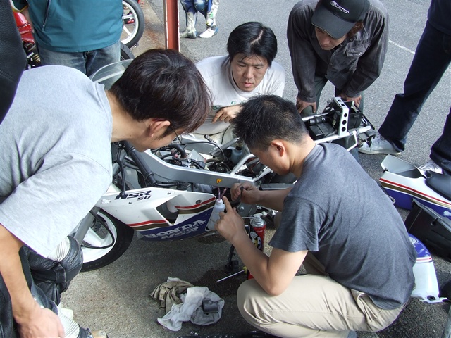 This picture is for quick loading of picture.