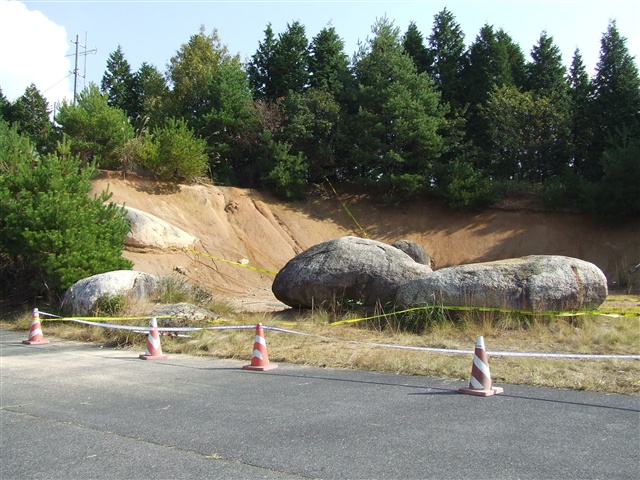 This picture is for quick loading of picture.