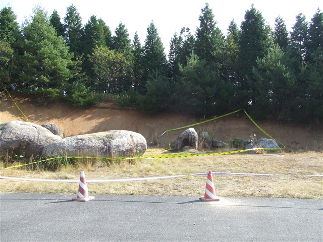 This picture is for quick loading of picture.