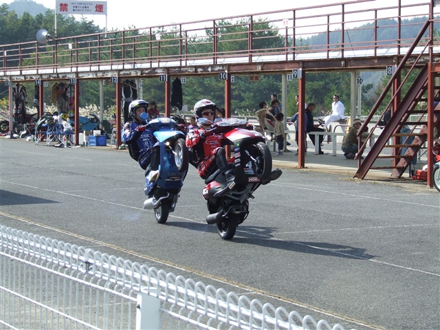 This picture is for quick loading of picture.