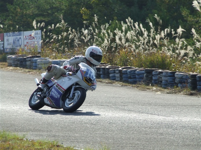 This picture is for quick loading of picture.