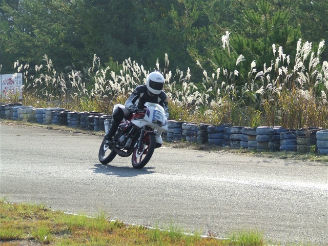 This picture is for quick loading of picture.