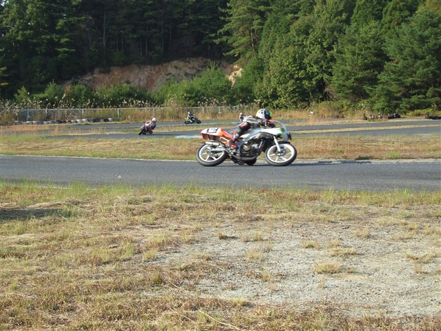 This picture is for quick loading of picture.