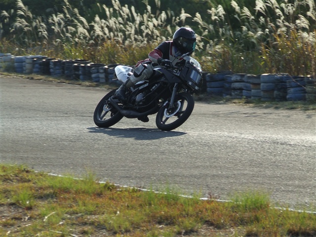 This picture is for quick loading of picture.