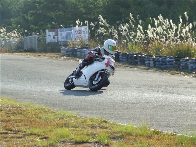 This picture is for quick loading of picture.