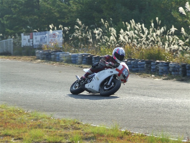 This picture is for quick loading of picture.