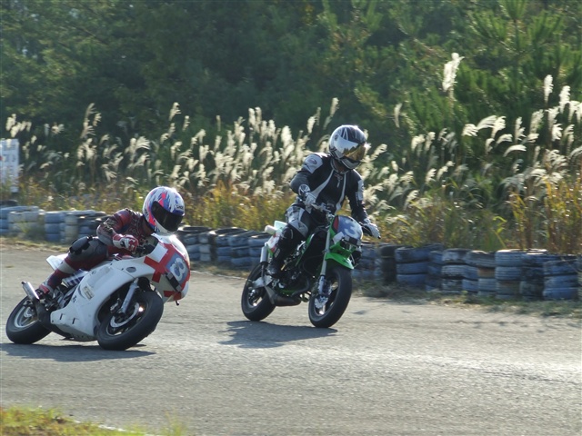 This picture is for quick loading of picture.