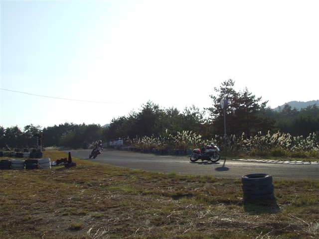 This picture is for quick loading of picture.