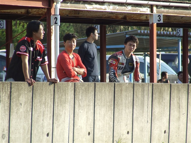 This picture is for quick loading of picture.