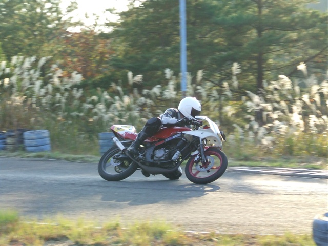 This picture is for quick loading of picture.