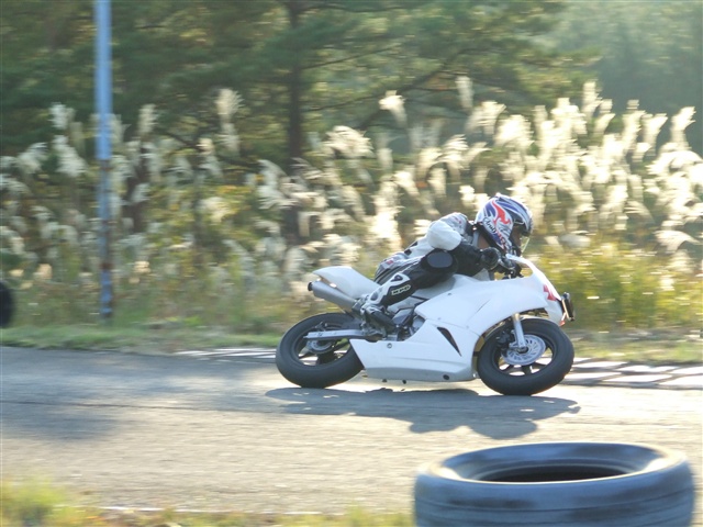 This picture is for quick loading of picture.