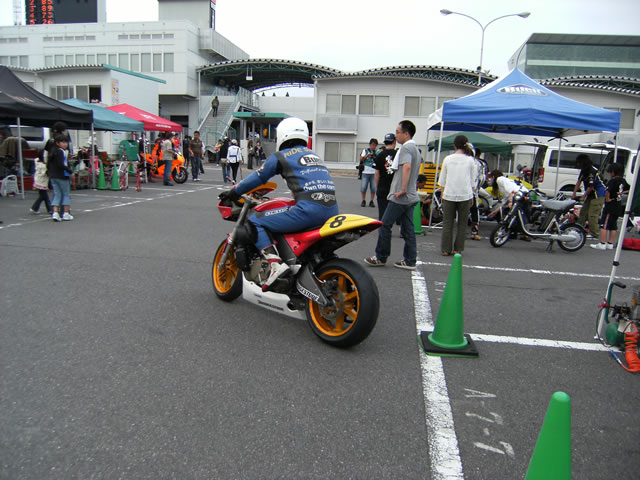 This picture is for quick loading of picture.