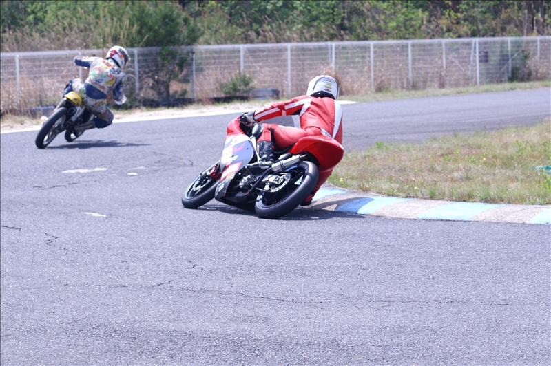 This picture is for quick loading of picture.