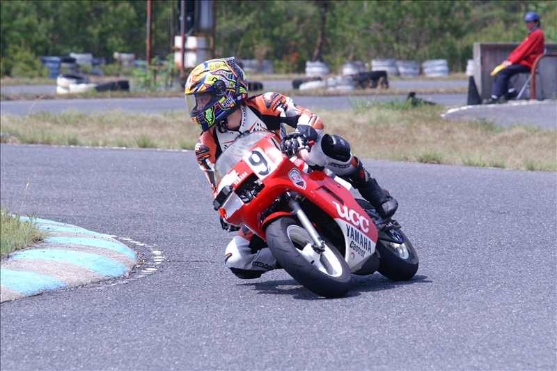 This picture is for quick loading of picture.