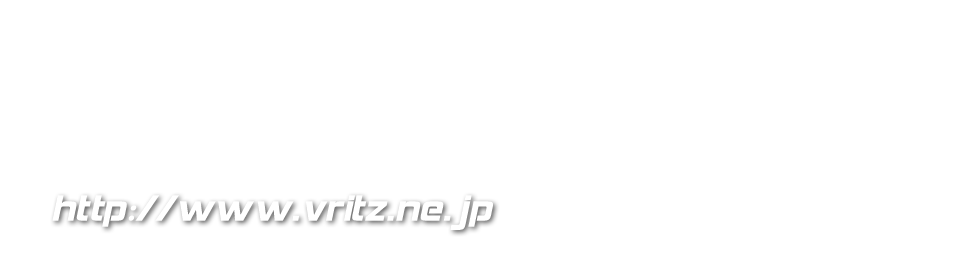 VRITZ CO.,LTD.